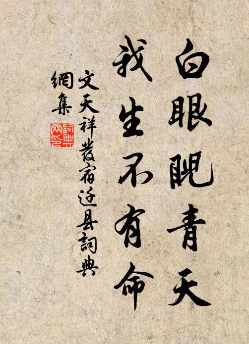 文天祥白眼睨青天，我生不有命书法作品欣赏