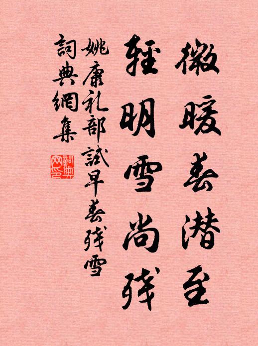 姚康微暖春潜至，轻明雪尚残书法作品欣赏