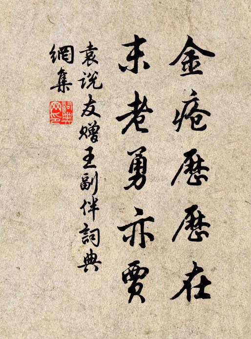 袁说友金疮历历在，末老勇亦贾书法作品欣赏