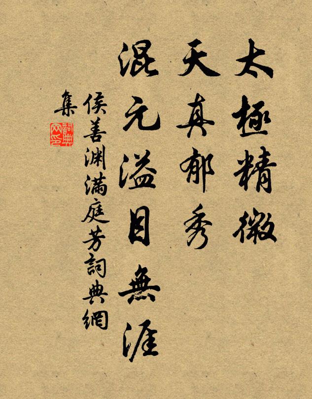 侯善渊太极精微，天真郁秀，混元溢目无涯书法作品欣赏