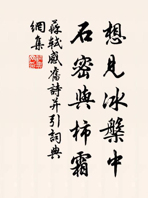 苏轼想见冰槃中，石密与柿霜书法作品欣赏
