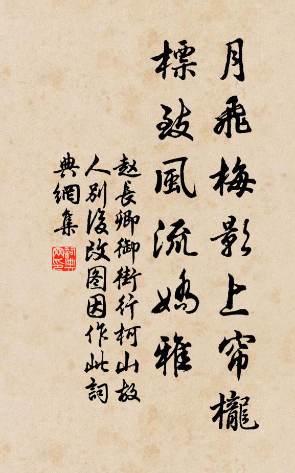 赵长卿月飞梅影上帘栊，标致风流娇雅书法作品欣赏