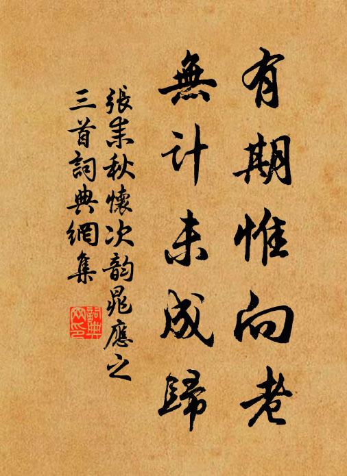 张耒有期惟向老，无计未成归书法作品欣赏
