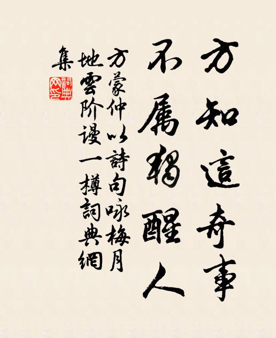 方蒙仲方知这奇事，不属独醒人书法作品欣赏