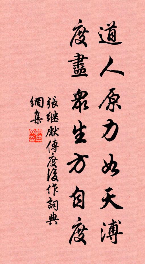 张继先道人原力如天溥，度尽众生方自度书法作品欣赏