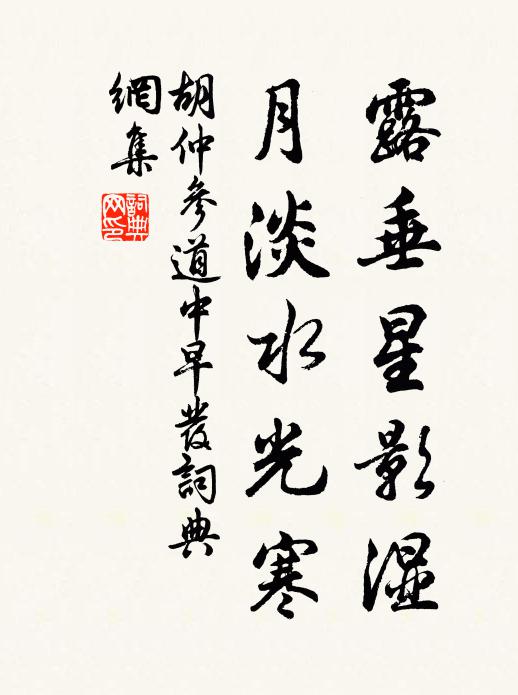 胡仲参露垂星影湿，月淡水光寒书法作品欣赏