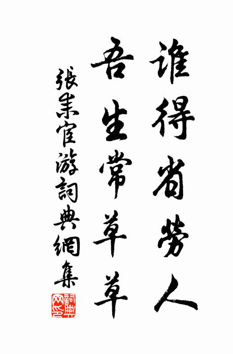 张耒谁得省劳人，吾生常草草书法作品欣赏