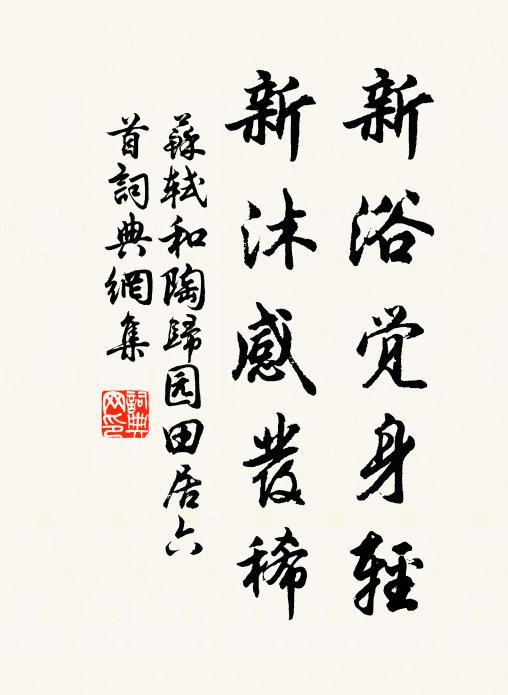 苏轼新浴觉身轻，新沐感发稀书法作品欣赏