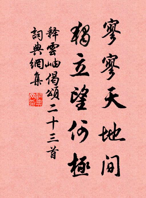 释云岫寥寥天地间，独立望何极书法作品欣赏