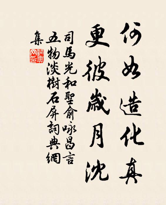 司马光何如造化真，更彼岁月沈书法作品欣赏