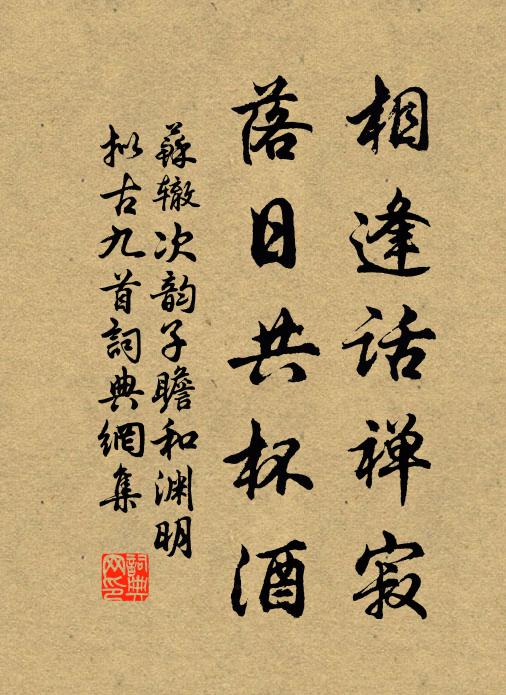 苏辙相逢话禅寂，落日共杯酒书法作品欣赏