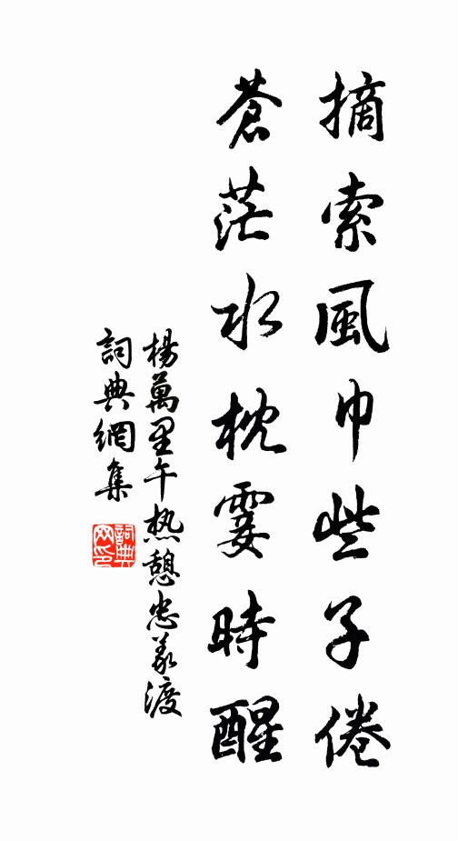 杨万里摘索风巾些子倦，苍茫水枕霎时醒书法作品欣赏