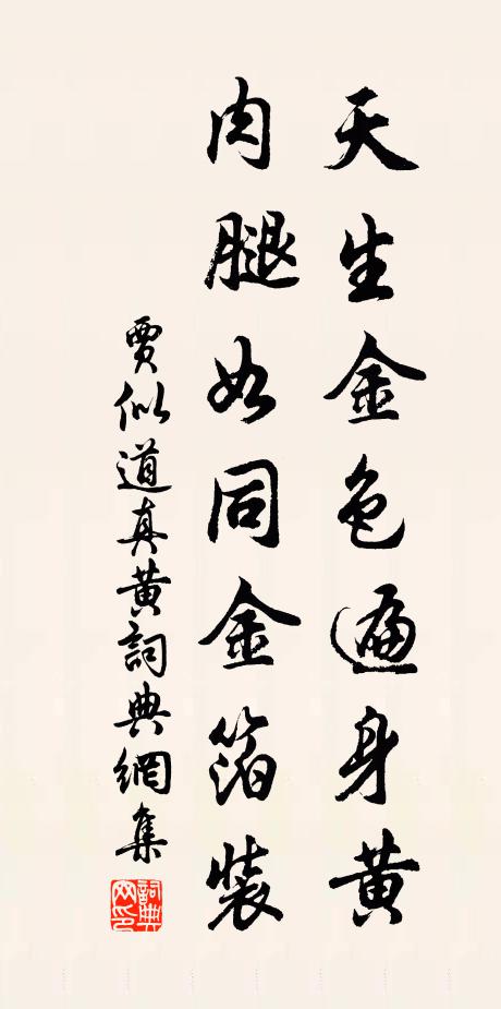贾似道天生金色遍身黄，肉腿如同金箔装书法作品欣赏