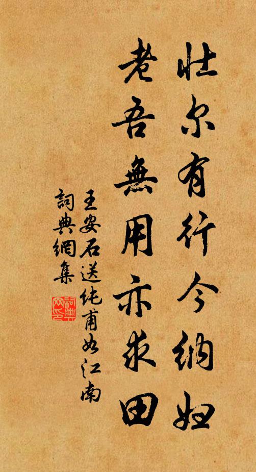 王安石壮尔有行今纳妇，老吾无用亦求田书法作品欣赏