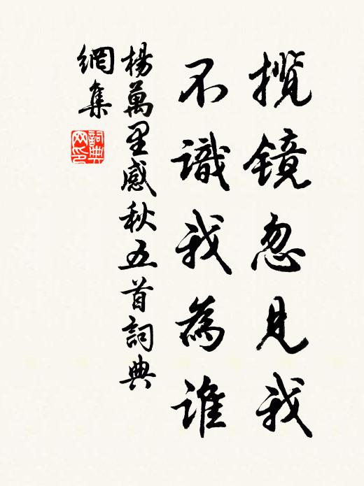 杨万里揽镜忽见我，不识我为谁书法作品欣赏