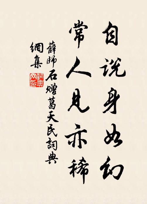 薛师石自说身如幻，常人见亦稀书法作品欣赏