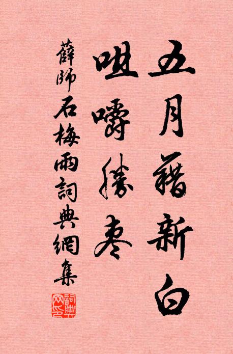 薛师石五月藉新白，咀嚼胜枣书法作品欣赏