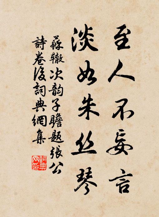 苏辙至人不妄言，淡如朱丝琴书法作品欣赏