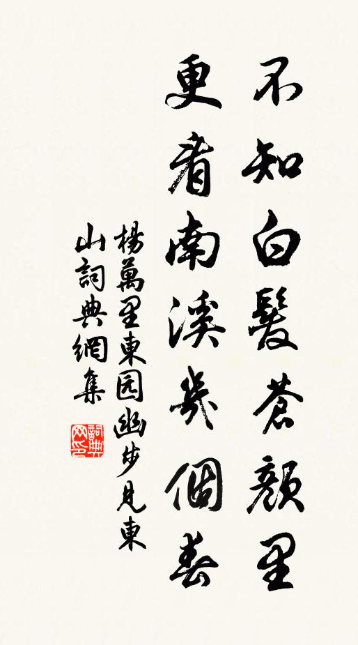 杨万里不知白发苍颜里，更看南溪几个春书法作品欣赏
