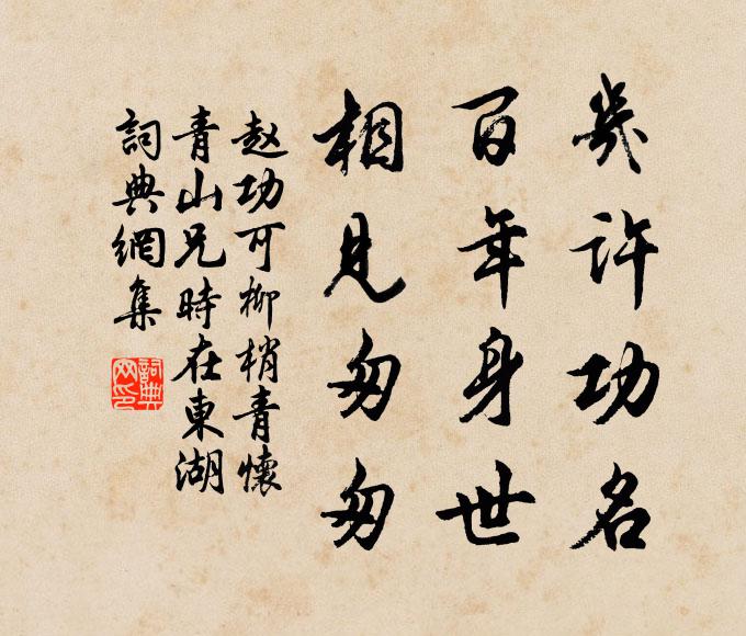 赵功可几许功名，百年身世，相见匆匆书法作品欣赏