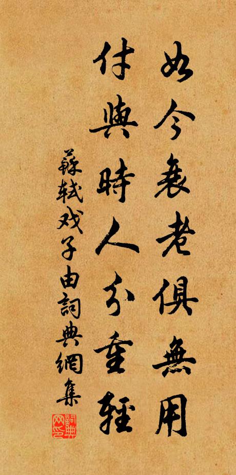 苏轼如今衰老俱无用，付与时人分重轻书法作品欣赏