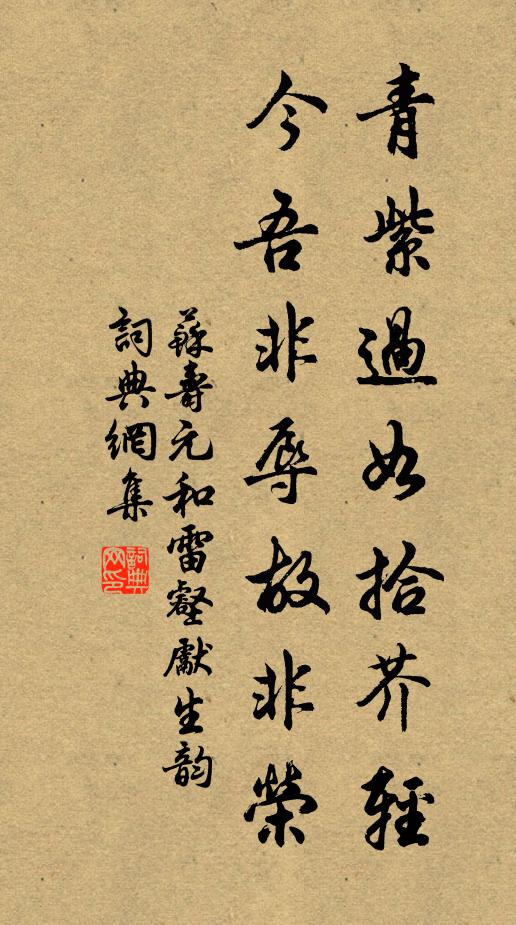 苏寿元青紫过如拾芥轻，今吾非辱故非荣书法作品欣赏