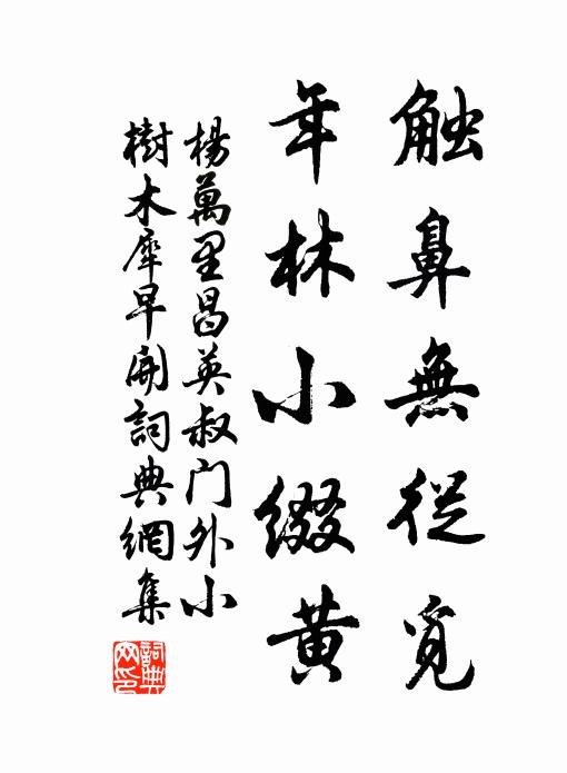 杨万里触鼻无从觅，年林小缀黄书法作品欣赏