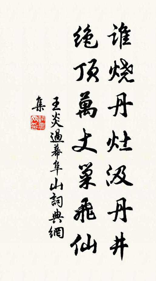 王炎谁烧丹灶汲丹井，绝顶万丈巢飞仙书法作品欣赏