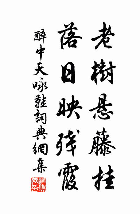佚名老树悬藤挂,落日映残霞书法作品欣赏