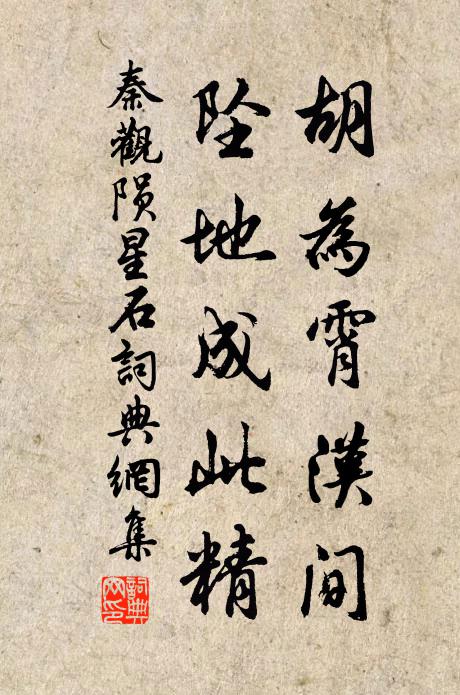 秦观胡为霄汉间，坠地成此精书法作品欣赏