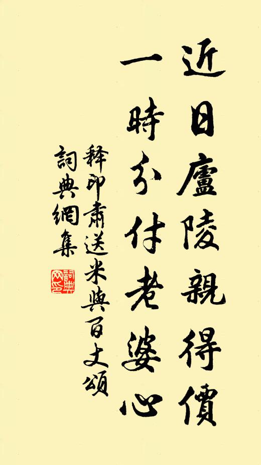 释印肃近日庐陵亲得价，一时分付老婆心书法作品欣赏