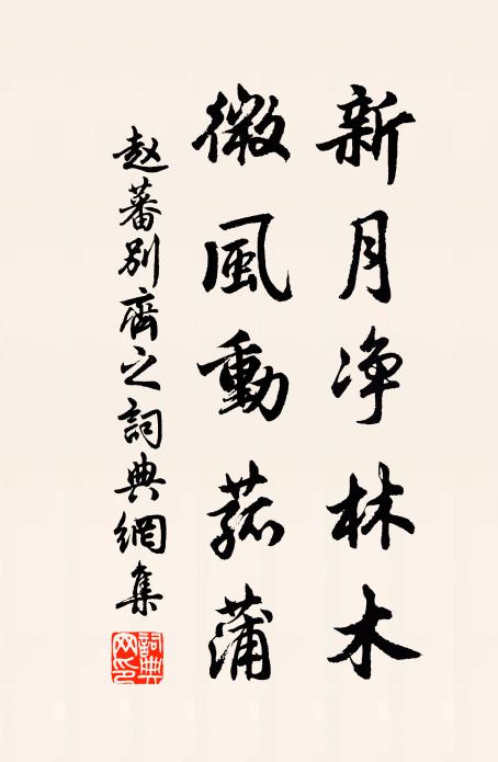 赵蕃新月净林木，微风动菰蒲书法作品欣赏