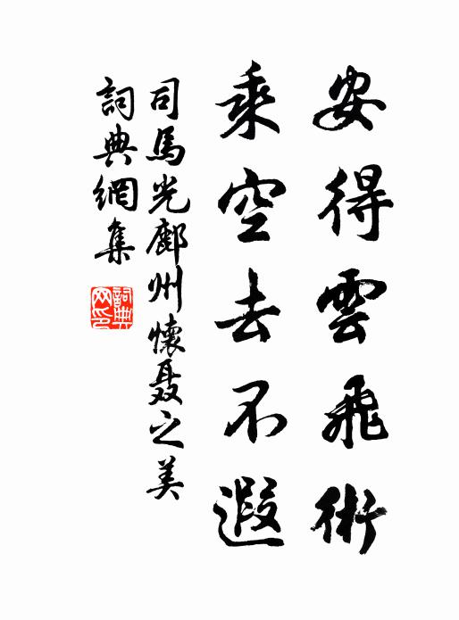 司马光安得云飞术，乘空去不遐书法作品欣赏