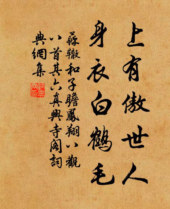 苏辙上有傲世人，身衣白鹤毛书法作品欣赏