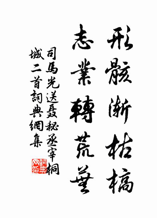 司马光形骸渐枯槁，志业转荒芜书法作品欣赏