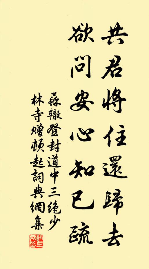 苏辙共君将住还归去，欲问安心知已疏书法作品欣赏