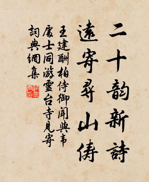 王建二十韵新诗，远寄寻山俦书法作品欣赏