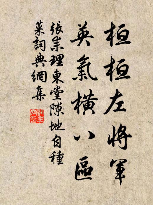 张耒桓桓左将军，英气横八区书法作品欣赏