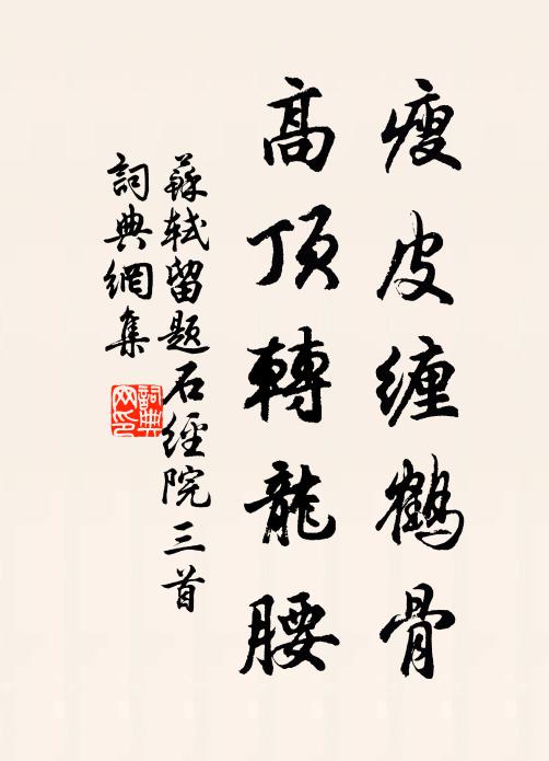 苏轼瘦皮缠鹤骨，高顶转龙腰书法作品欣赏