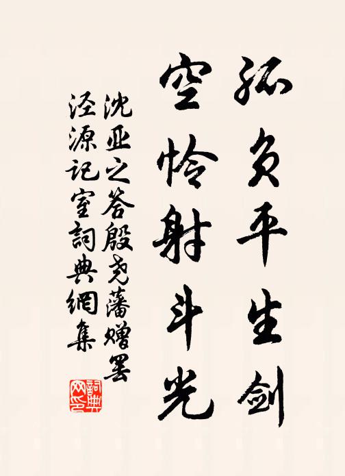 沈亚之孤负平生剑，空怜射斗光书法作品欣赏