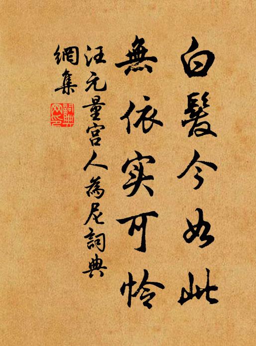汪元量白发今如此，无依实可怜书法作品欣赏