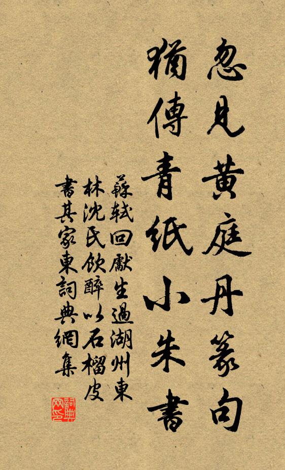 苏轼忽见黄庭丹篆句，犹传青纸小朱书书法作品欣赏