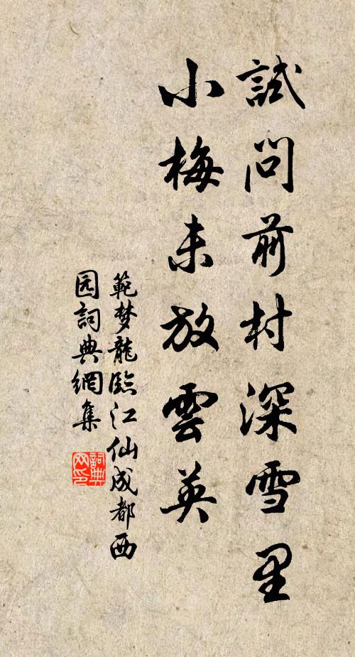 范梦龙试问前村深雪里，小梅未放云英书法作品欣赏