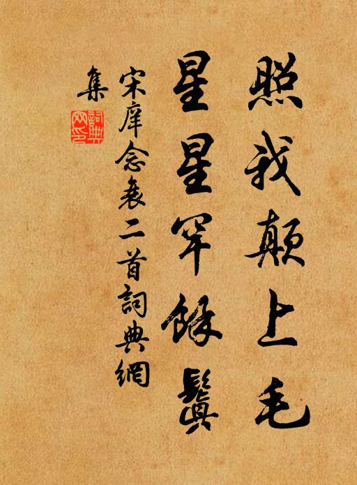 宋庠照我颠上毛，星星罕余鬒书法作品欣赏
