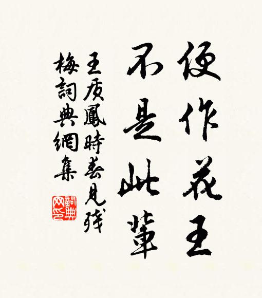 王质便作花王，不是此辈书法作品欣赏