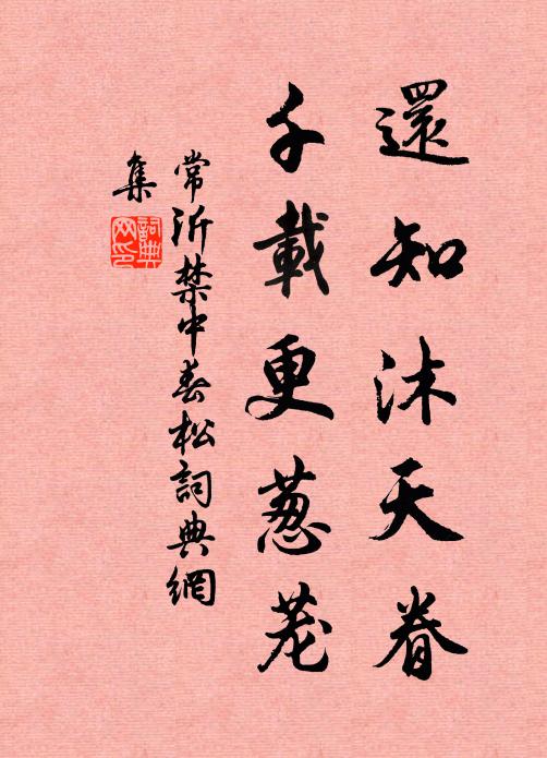 常沂还知沐天眷，千载更葱茏书法作品欣赏