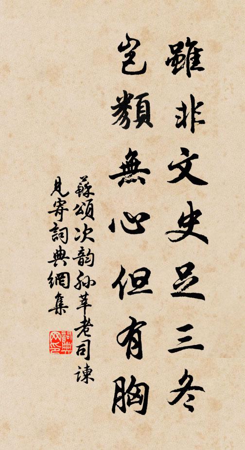 苏颂虽非文史足三冬，岂类无心但有胸书法作品欣赏