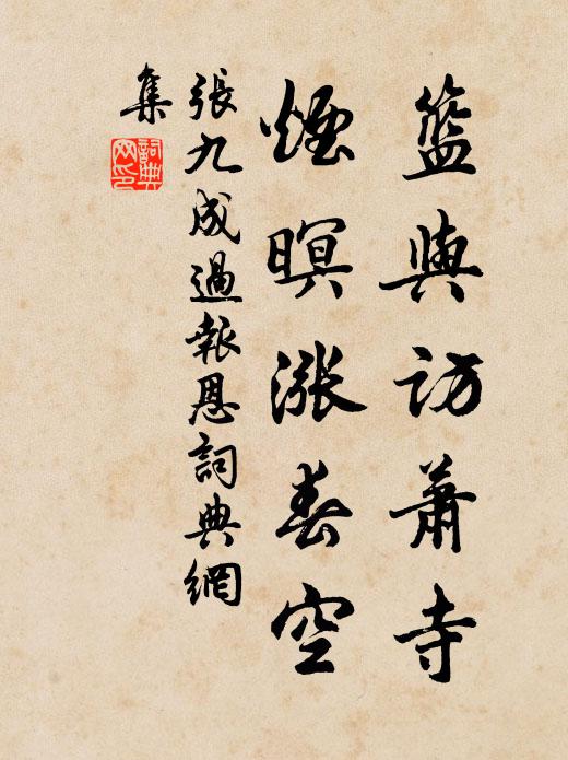 张九成篮与访萧寺，烟暝涨春空书法作品欣赏