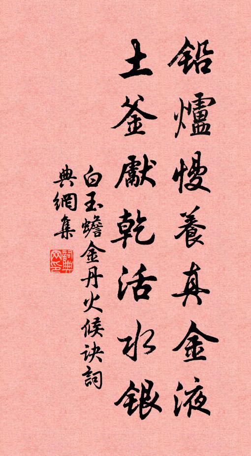 白玉蟾铅炉慢养真金液，土釜先乾活水银书法作品欣赏