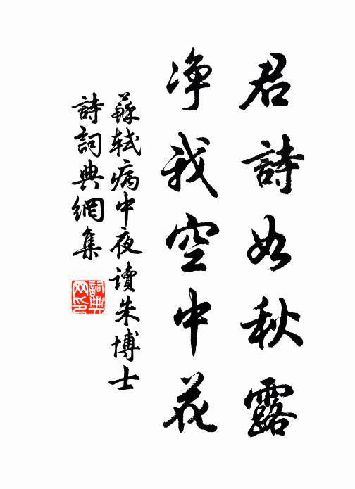 苏轼君诗如秋露，净我空中花书法作品欣赏